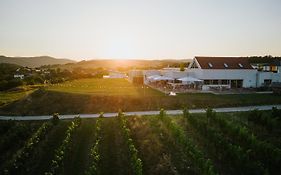 Weinblick & Weingut Grafinger